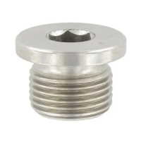 Пробка резьбовая с внутренним шестигранником М10х1 DIN 908 нержавеющая сталь А2